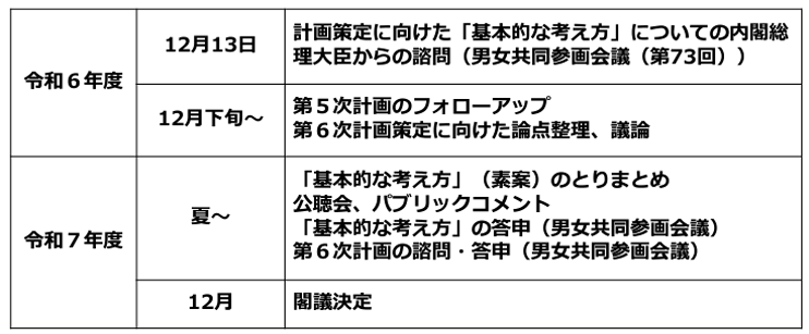 今後のスケジュール（案）・計画策定のプロセス